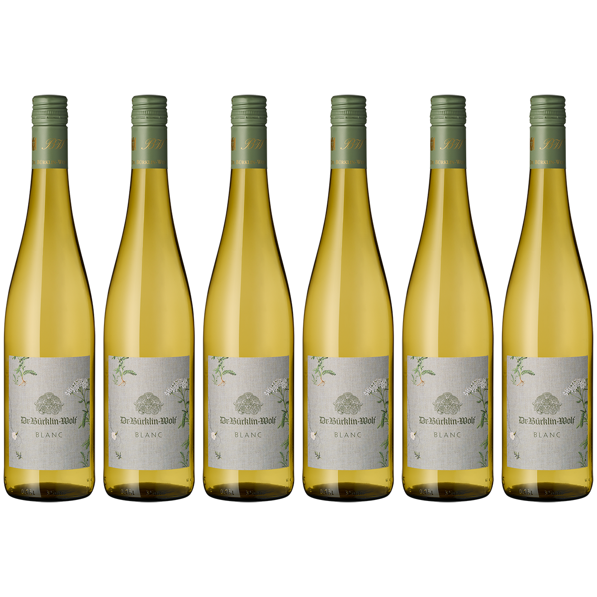 Sechs Flaschen Cuvee Blanc Weißwein der Marke Bürklin Wolf stehen nebeneinander auf weißem Hintergrund. Die Flaschen sind mit einem grün-grauen Etikett versehen und mit Schraubverschluss verschlossen. Ideal als Geschenk oder für besondere Anlässe.