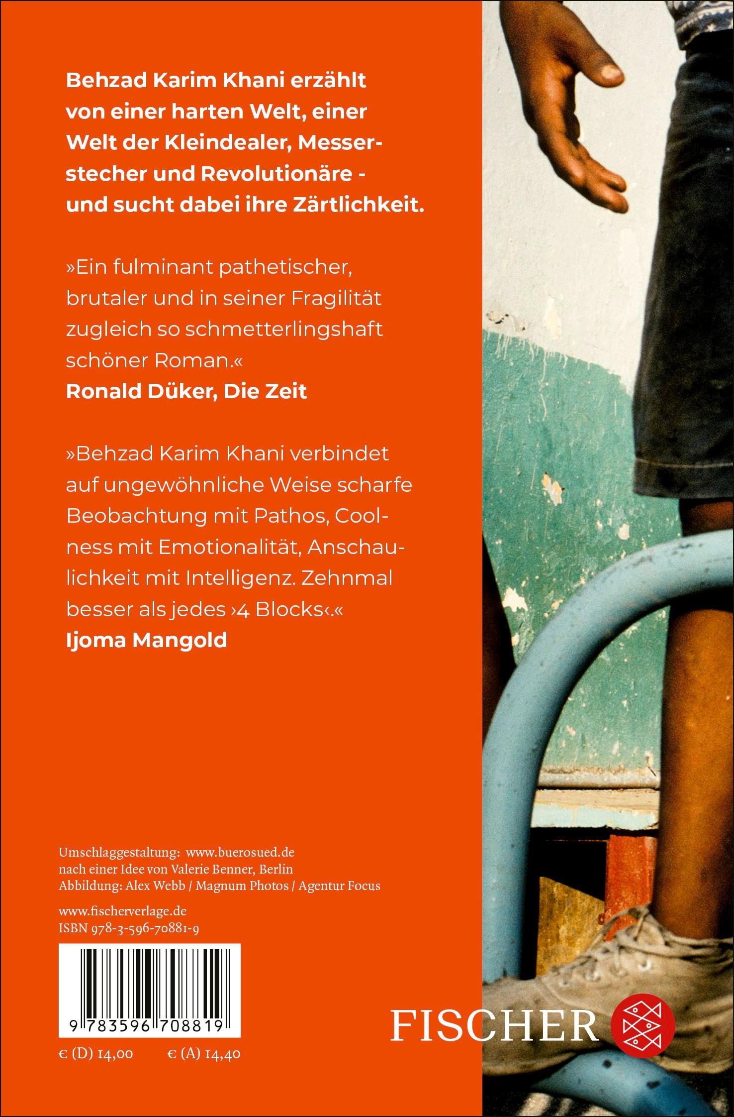 Rückansicht - Karim Khani, B: Hund, Wolf, Schakal