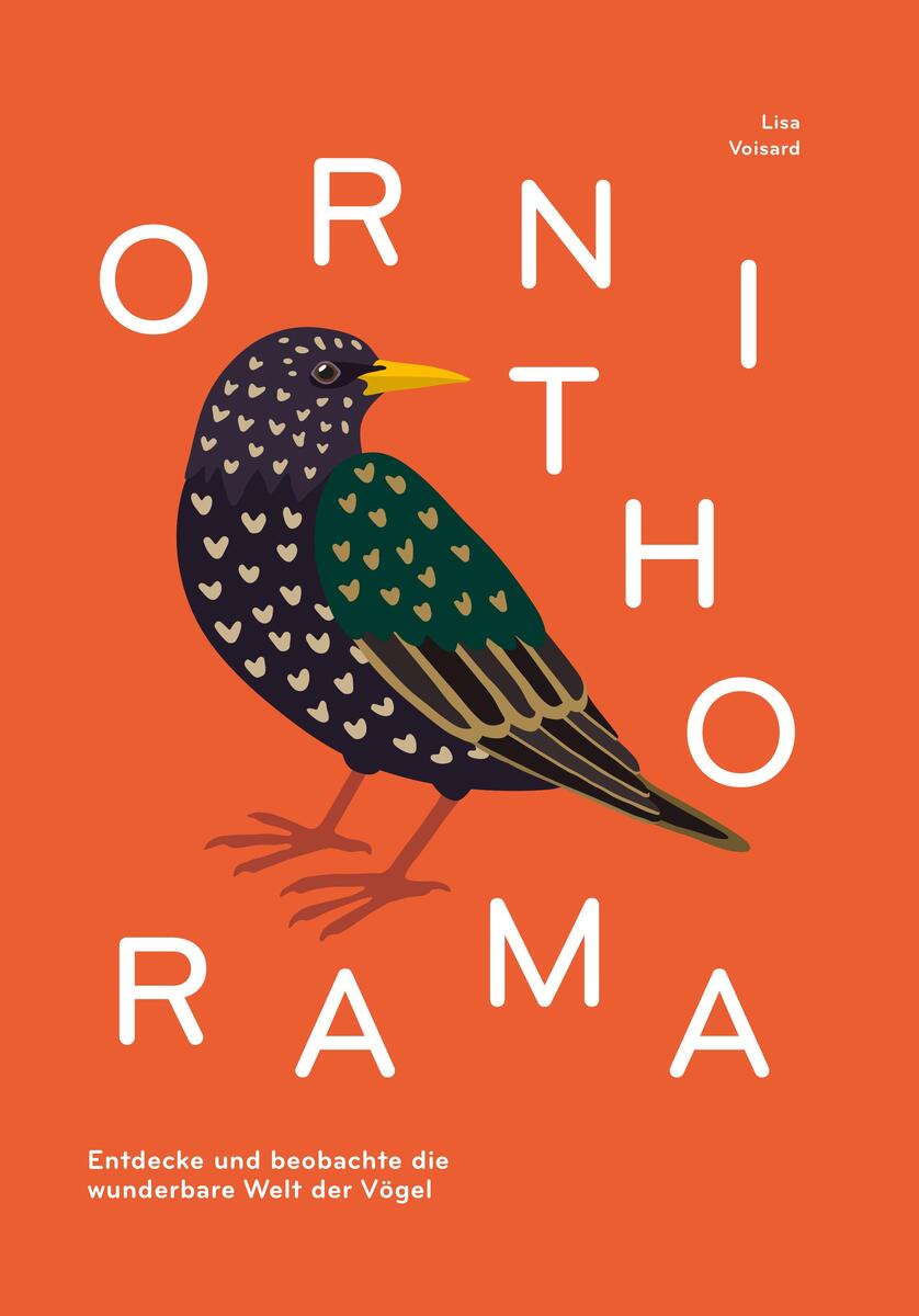 Orangefarbener Buchumschlag des Sachbuchs 'Ornithorama' mit einer illustrierten Vogelabbildung und dem Untertitel 'Entdecke und beobachte die wunderbare Welt der Vögel' von Lisa Voisard.