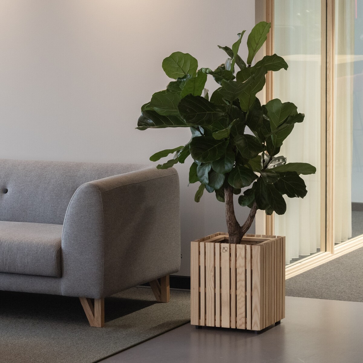 Ein modernes Pflanzgefäß »GrowMORE« mit einer großen Zimmerpflanze darin steht neben einem grauen Sofa in einem stilvoll eingerichteten Raum. Der Pflanzenhalter besteht aus naturbelassenem Holz und verleiht dem Raum eine natürliche und minimalistische Atmosphäre.