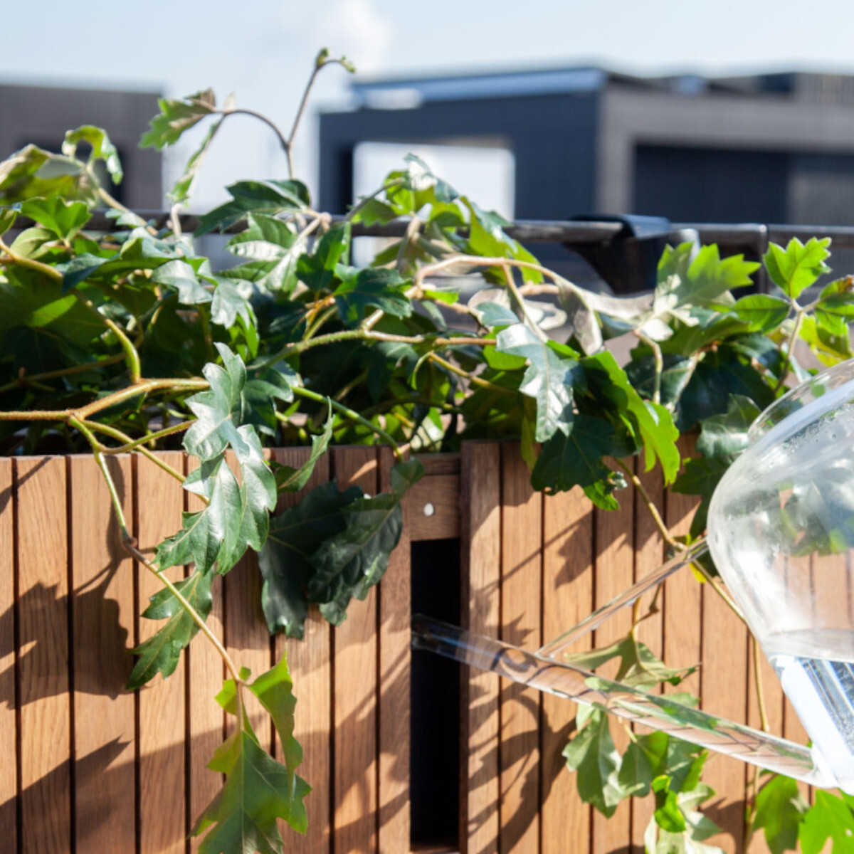 Holzähnliches Pflanzgefäß mit üppigen grünen Pflanzen auf einer Terrasse, vor einem verschwommenen städtischen Hintergrund.