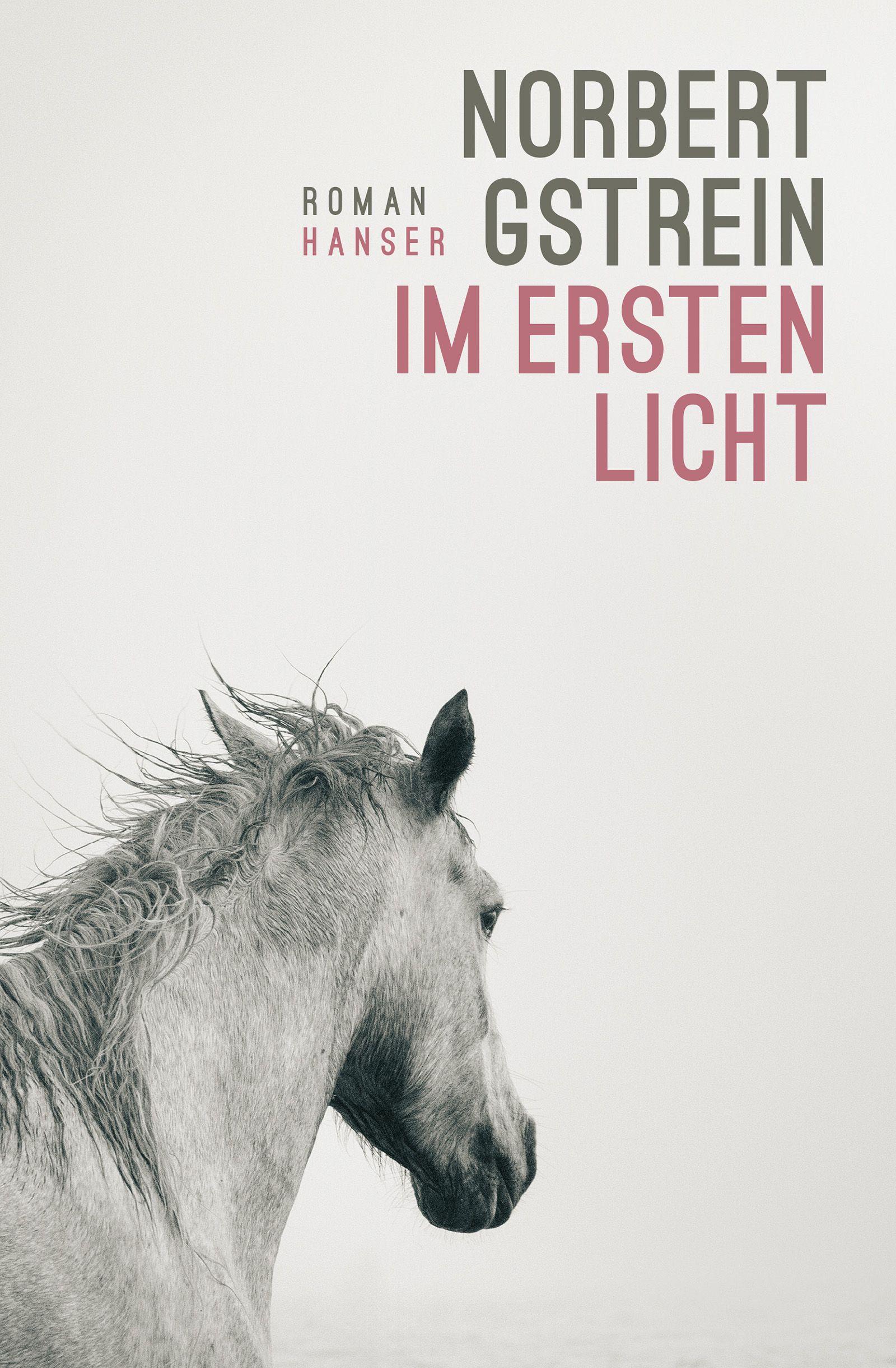 Cover Gstrein, N: Im ersten Licht