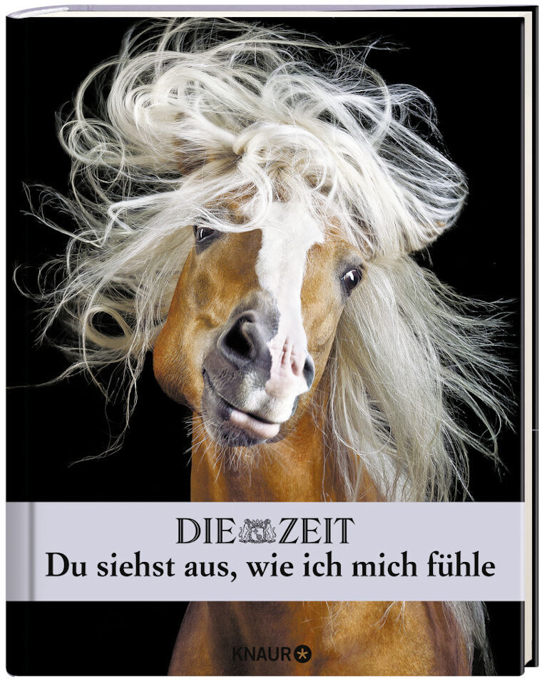 Freches Pferdefoto auf einem Buchdeckel mit dem Titel 'Du siehst aus, wie ich mich fühle'. Das Buch von Knaur hat eine lustige und humorvolle Gestaltung mit einem schelmisch dreinblickenden Pferd.
