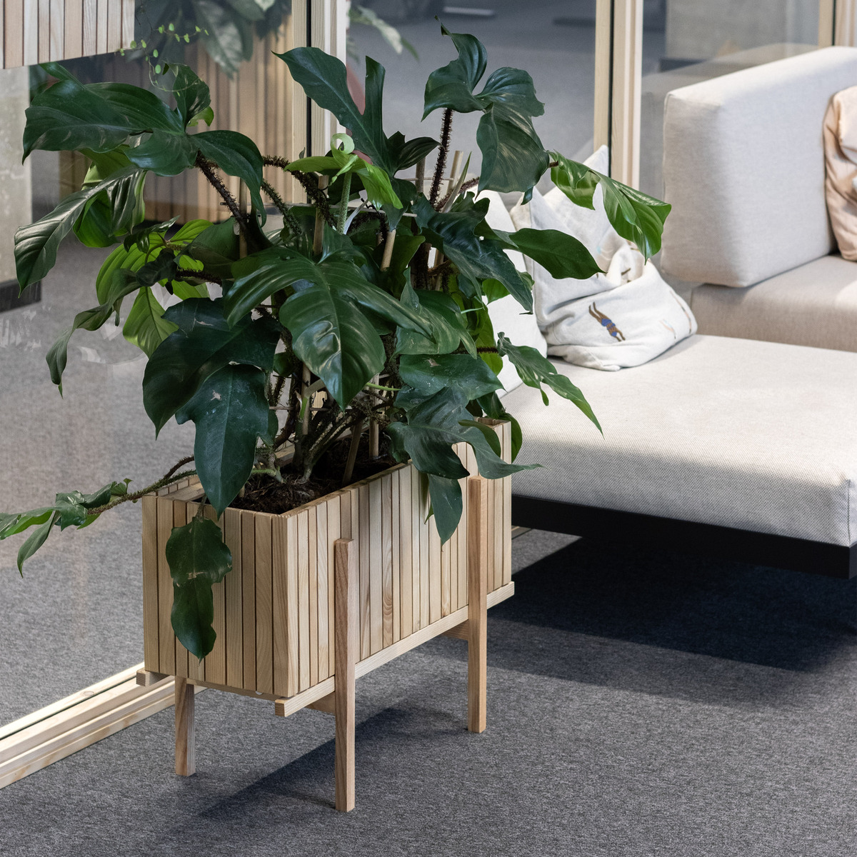 Ein moderner Pflanzenhalter aus Holz mit einer großen grünen Zimmerpflanze, der in einem Büro mit Glaswänden neben einem hellen Sofa aufgestellt ist.