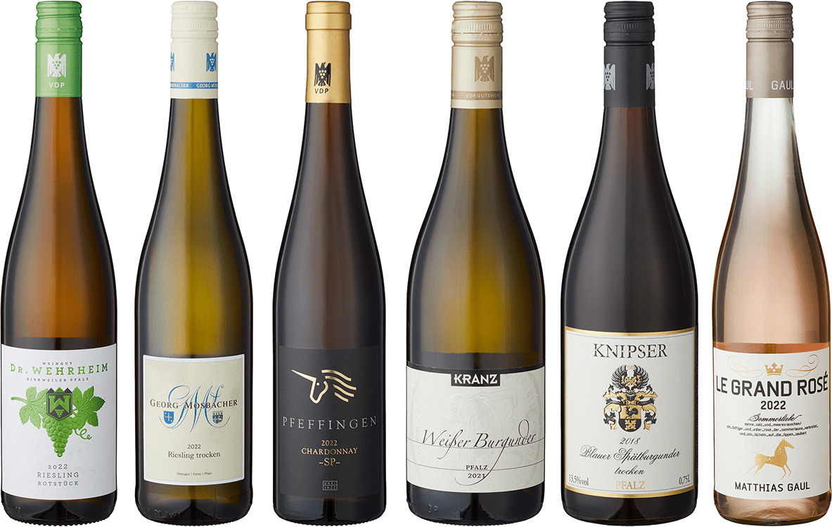 Eine Kollektion von sechs verschiedenen Weinen der ZEIT-Weinedition aus der Region Pfalz, darunter Weißwein, Rotwein und Roséwein, mit verschiedenen Etikettenfarben und Verschlüssen.