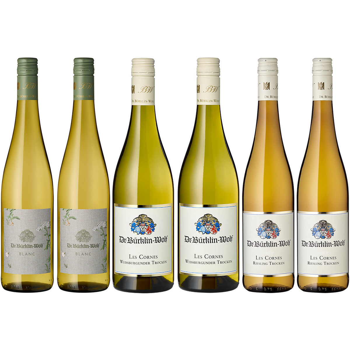 Sechs Flaschen Weißwein des Weinguts Bürklin-Wolf, jeweils mit elegantem Etikett und farblich abgestimmten Verschlüssen, stehend nebeneinander vor weißem Hintergrund.