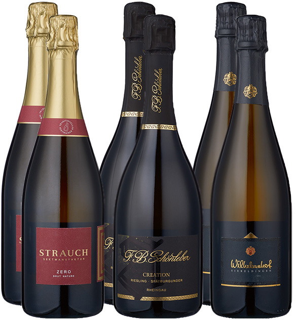 Sechs Flaschen Winzersekt im Set, jeweils mit verschiedenen Etiketten in Schwarz, Rot und Gold verziert. Geeignet als edles Geschenk oder für festliche Anlässe.
