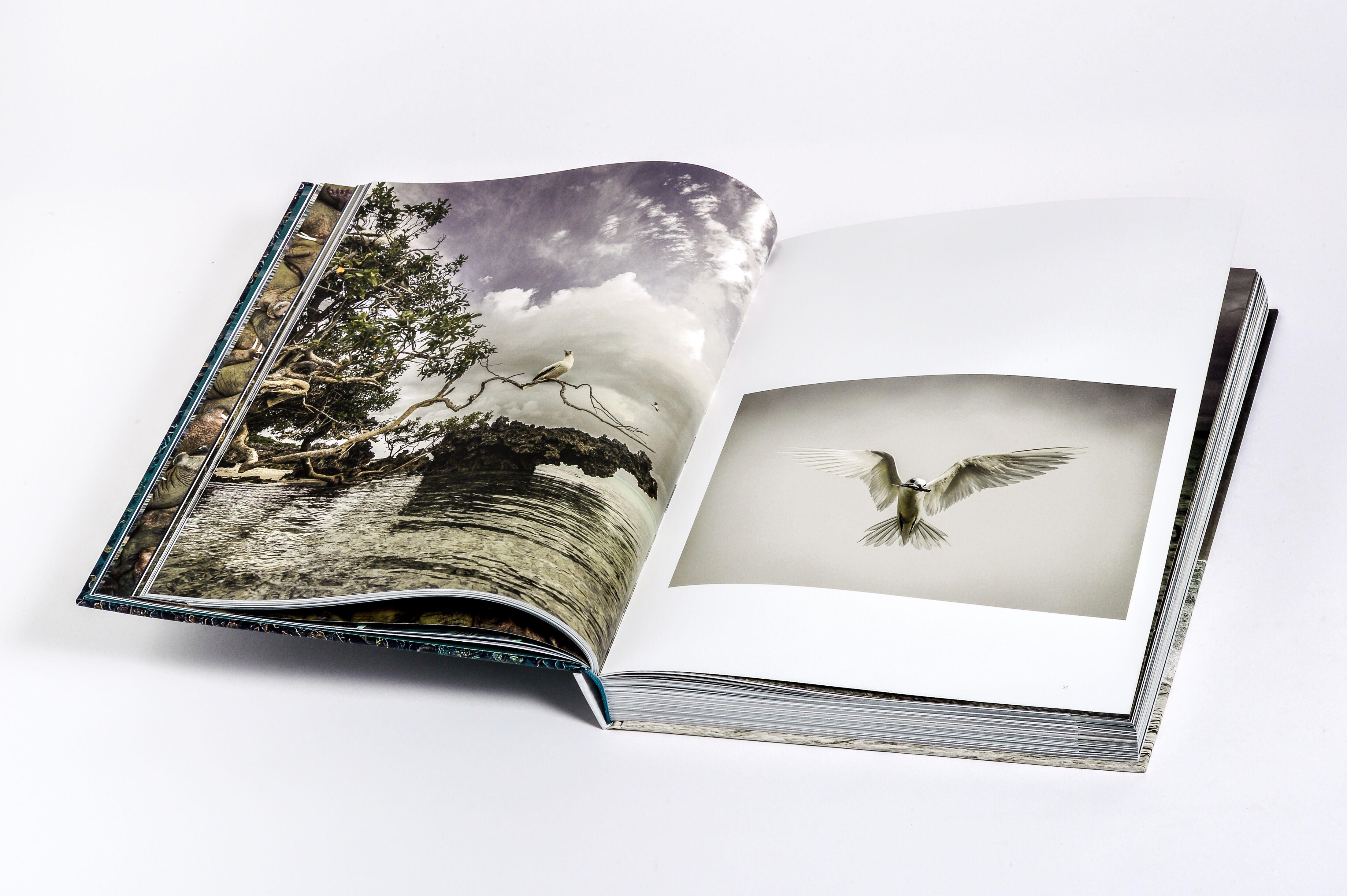 Innenansicht zu Pickford, P: Wilder Ozean