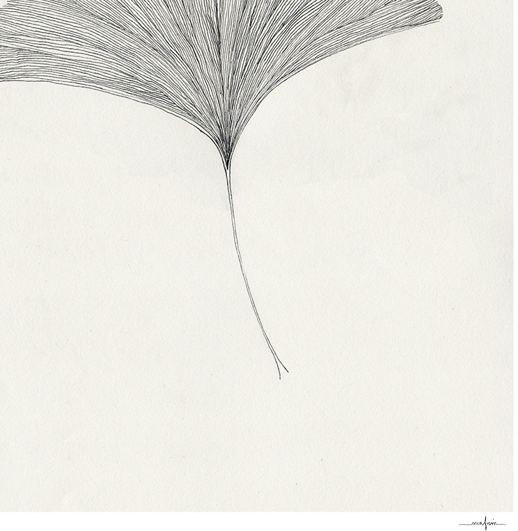 Zeichnung eines Ginkgoblattes in einem schwarzen Rahmen, minimalistischer Stil, monochrome Farbgebung.