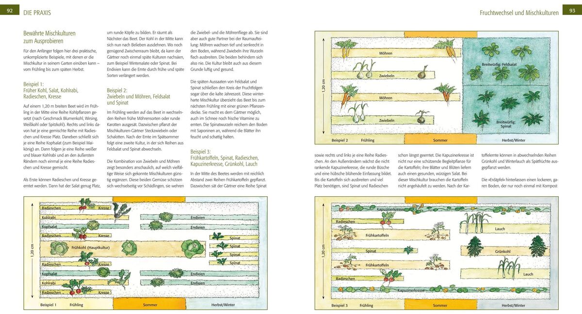 Eine Seite aus dem Buch 'Der Biogarten' von Marie-Luise Kreuter zeigt grafische Darstellungen von Gartenlayouts und Pflanzenschemata. Die Abbildungen sind in grünen, gelben und weißen Farben gehalten und geben einen Einblick in die ökologische Gartenplanung und Bepflanzung.