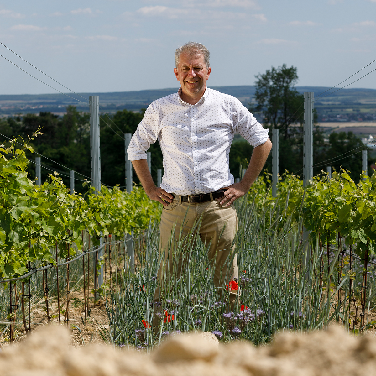 Ein freundlicher Mann steht in einem grünen Weinberg unter blauem Himmel, umgeben von Weinreben und bunten Blumen. Im Hintergrund ist eine weite Landschaft mit Feldern und Hügeln zu sehen. Das Bild verkörpert Natur, Handwerk und regionale Weinkultur.